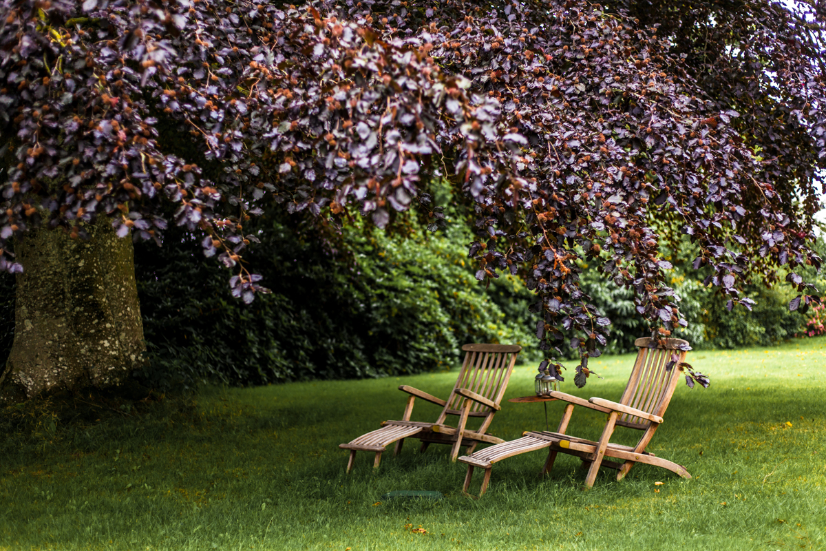 So wohnt der Norden: Ich war zu Besuch bei Familie Kriegshammer in Süderbrarup und habe den großen Garten bestaunt