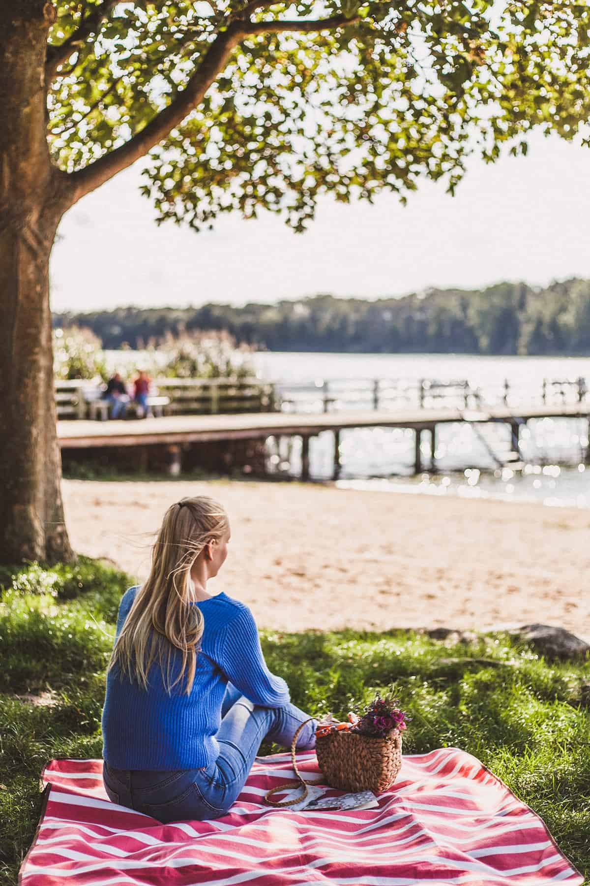 Picknick am Bordesholmer See