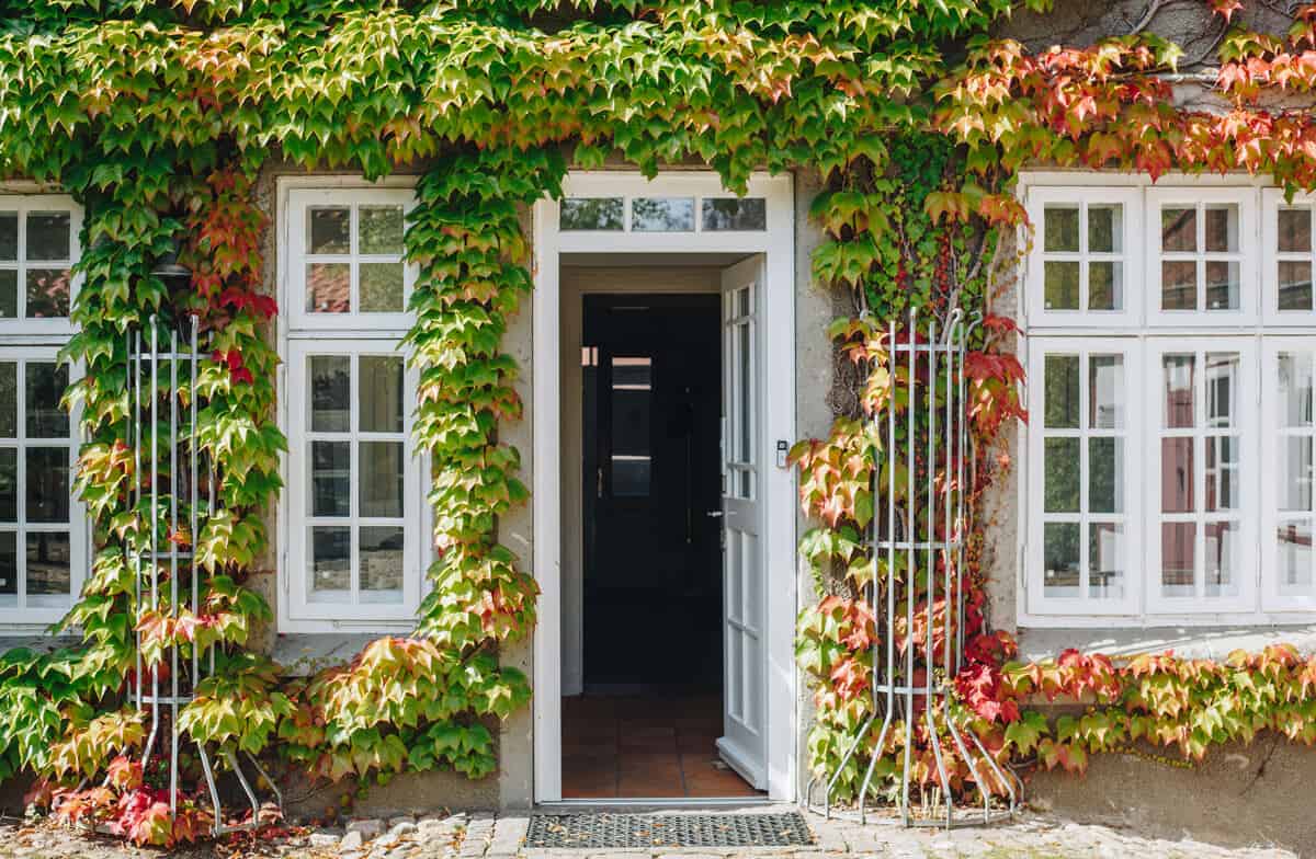 Künstlermuseum Heikendorf Garten