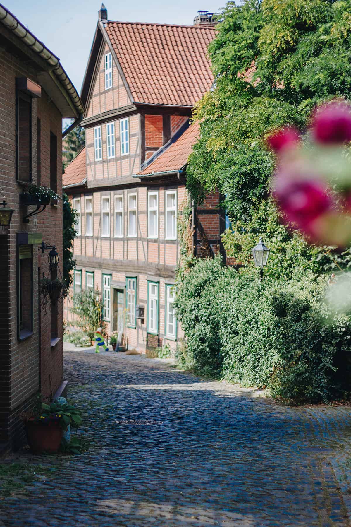 Lauenburg Historische Altstadt 