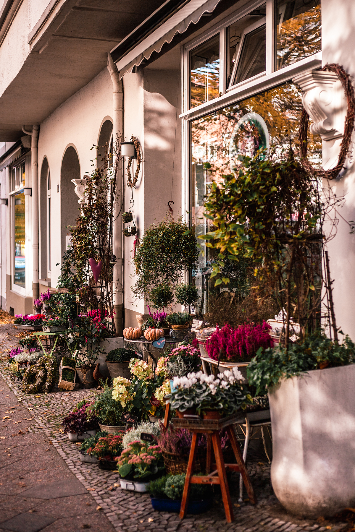 Rosa rostig Blumenladen Kiel