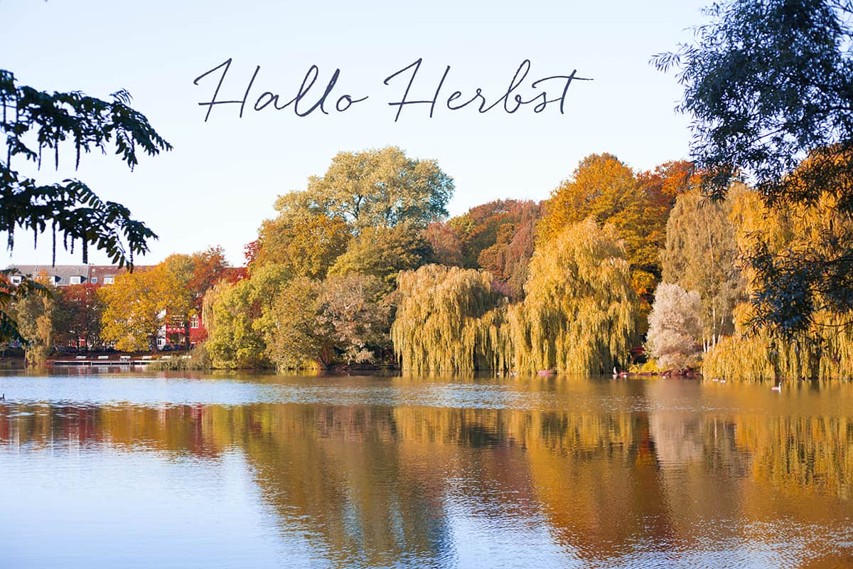 Herbst in Kiel Schrevenpark