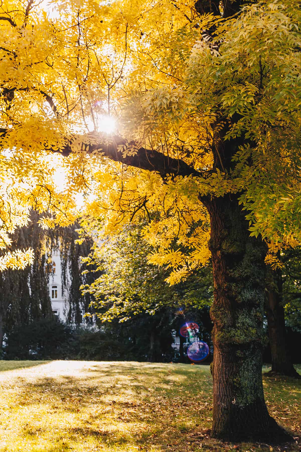 Herbst_Kiel_Schrevenpark