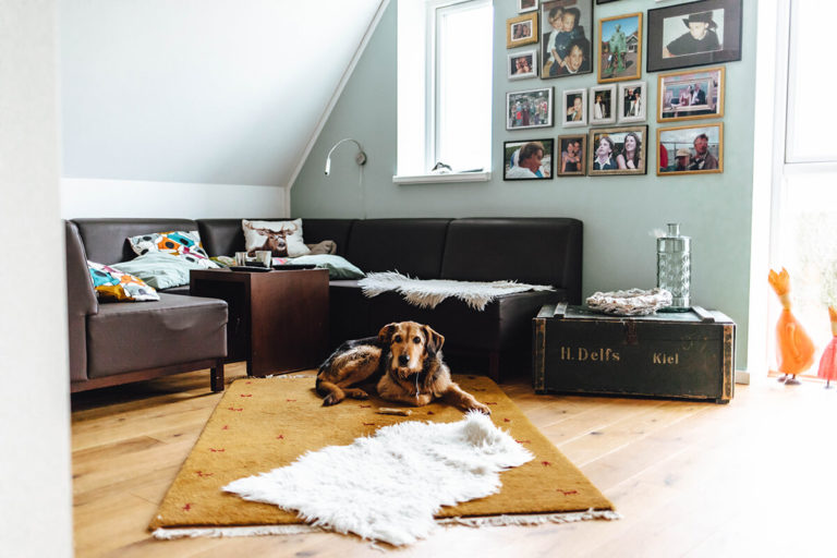 So wohnt der Norden: Kreative Wohnaccessoires bei Medi aus Achterwehr