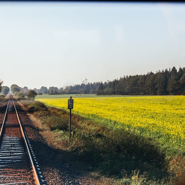 Wir freuen uns schon, dass wir bald wieder mit dem Zug durch die schöne Landschaft in Schleswig-Holstein fahren