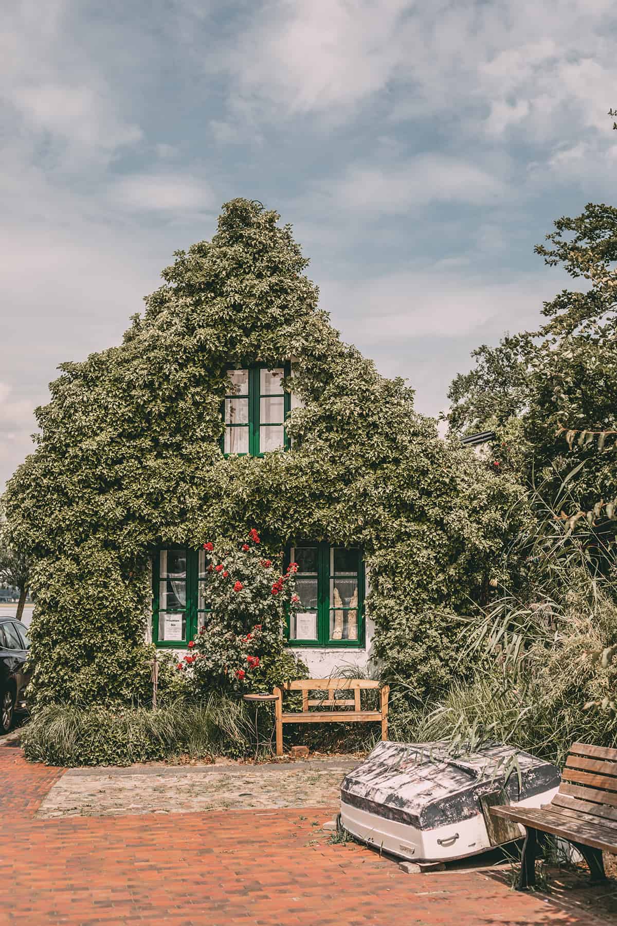 Mit Efeu bewachsenes Haus