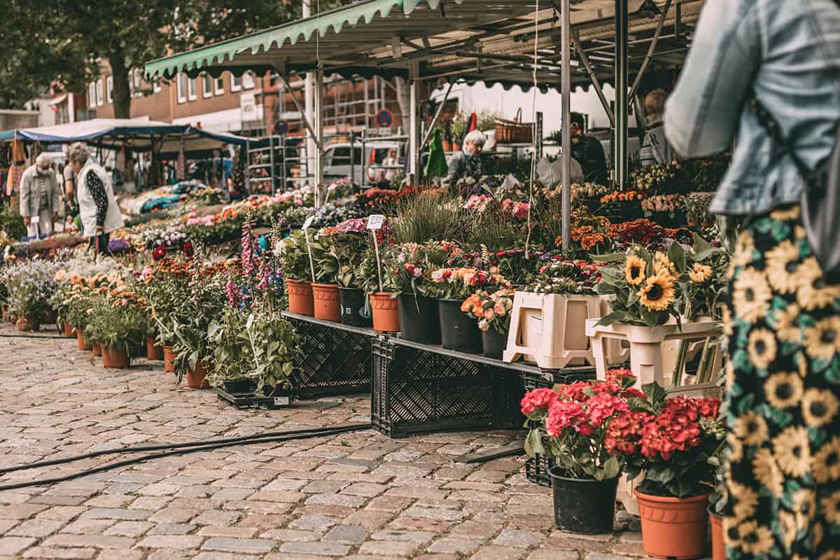 Wochenmarkt in Neustadt