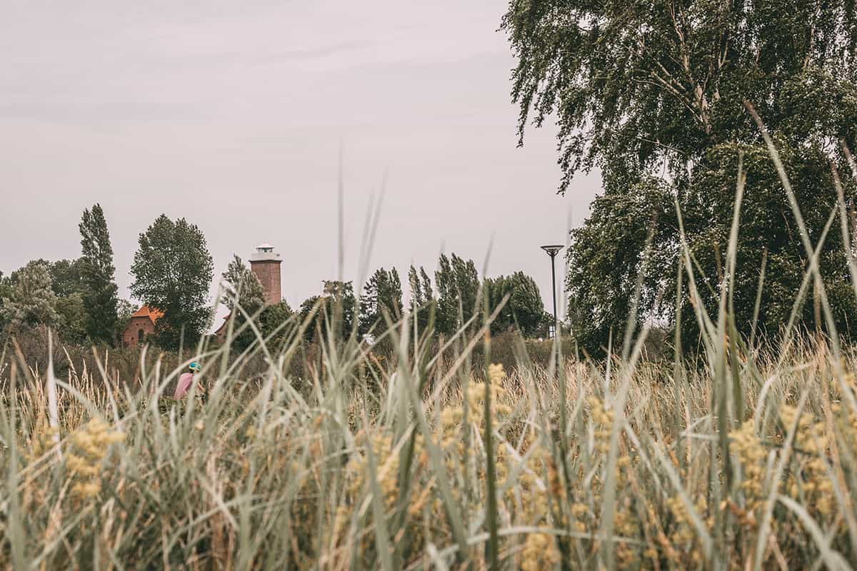 Der Strand in Pelzerhaken 
