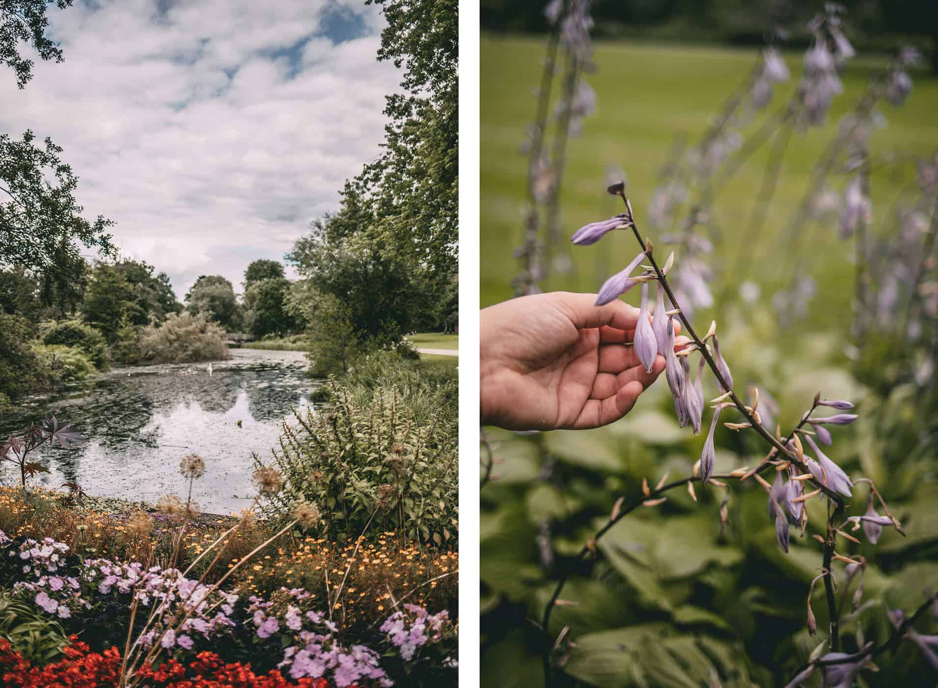 Kurpark Pflanzen und Blumen