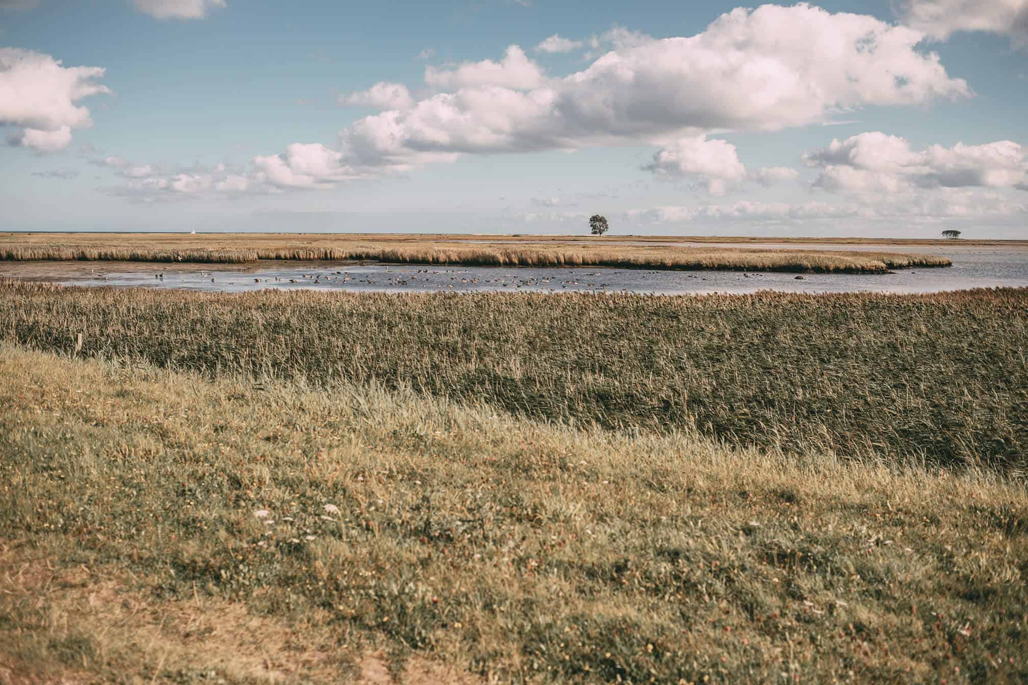 Herbst an der Schlei Tipps Herbstferien Schleswig-Holstein: Natur