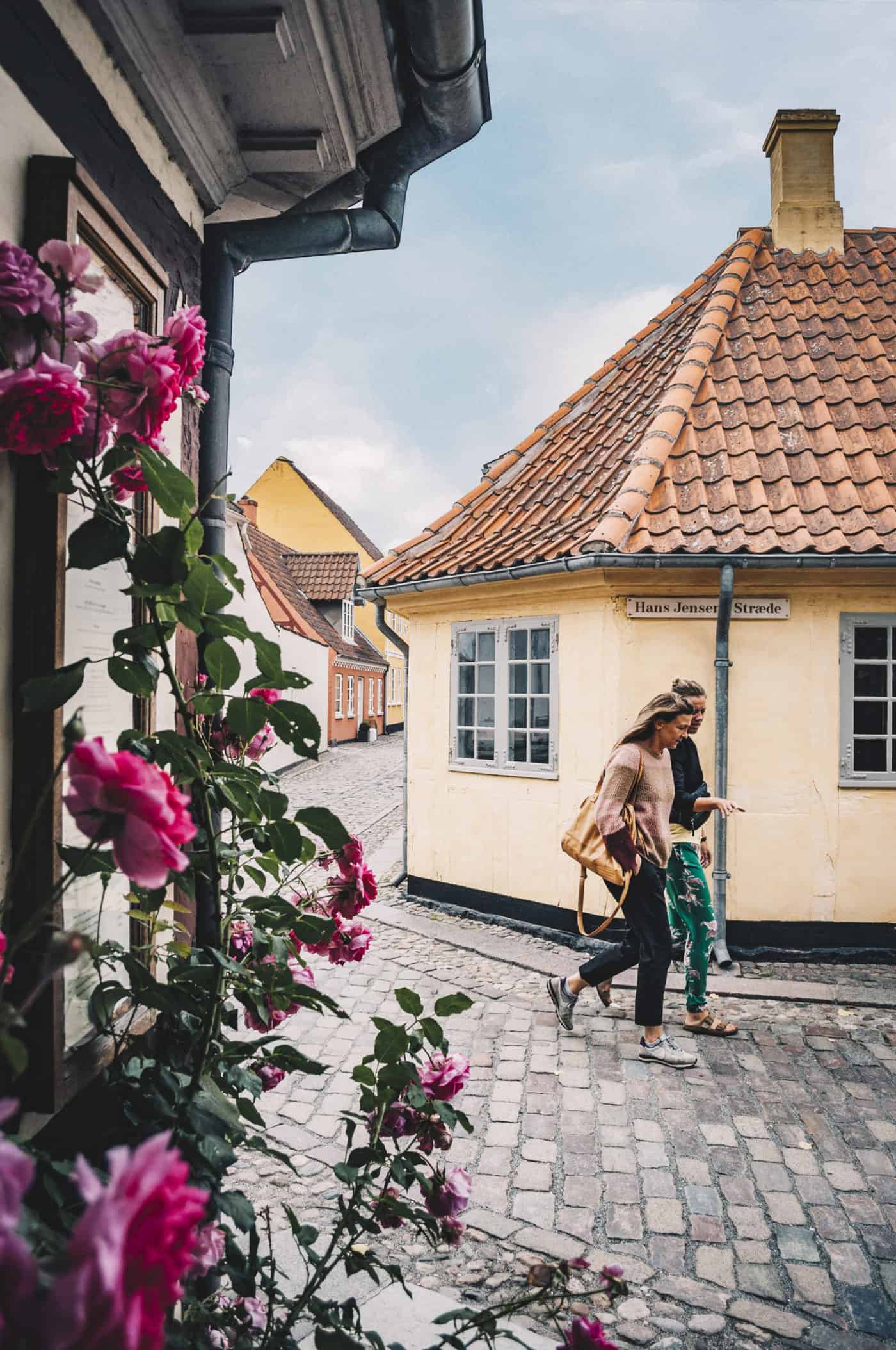 Altstadt Odense