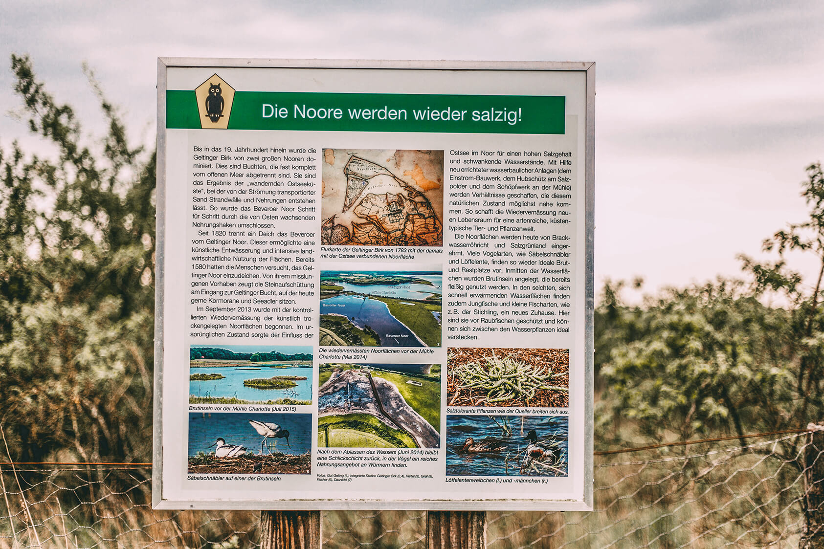 Naturschutzgebiet Geltinger Birk