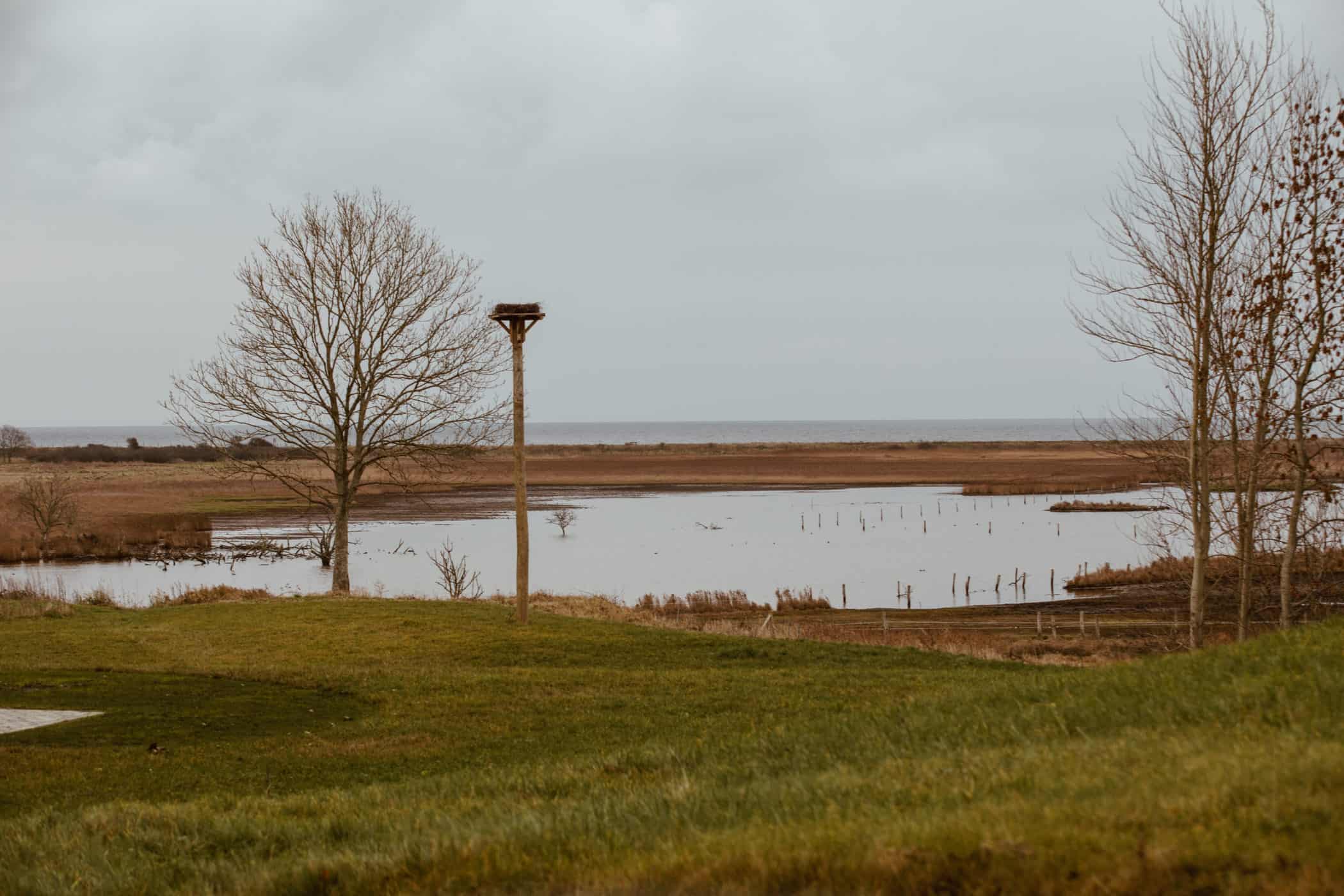 Natur Geltinger Birk