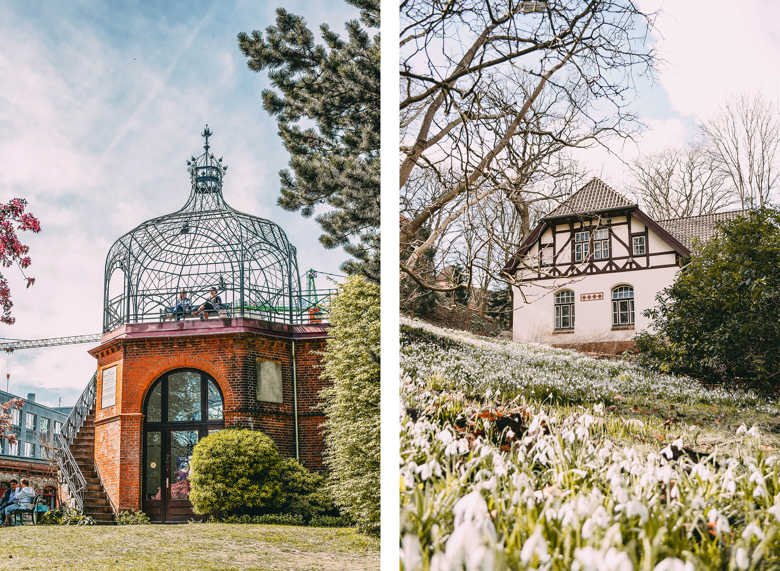 Alter Botanischer Garten Pavillon Literaturhaus