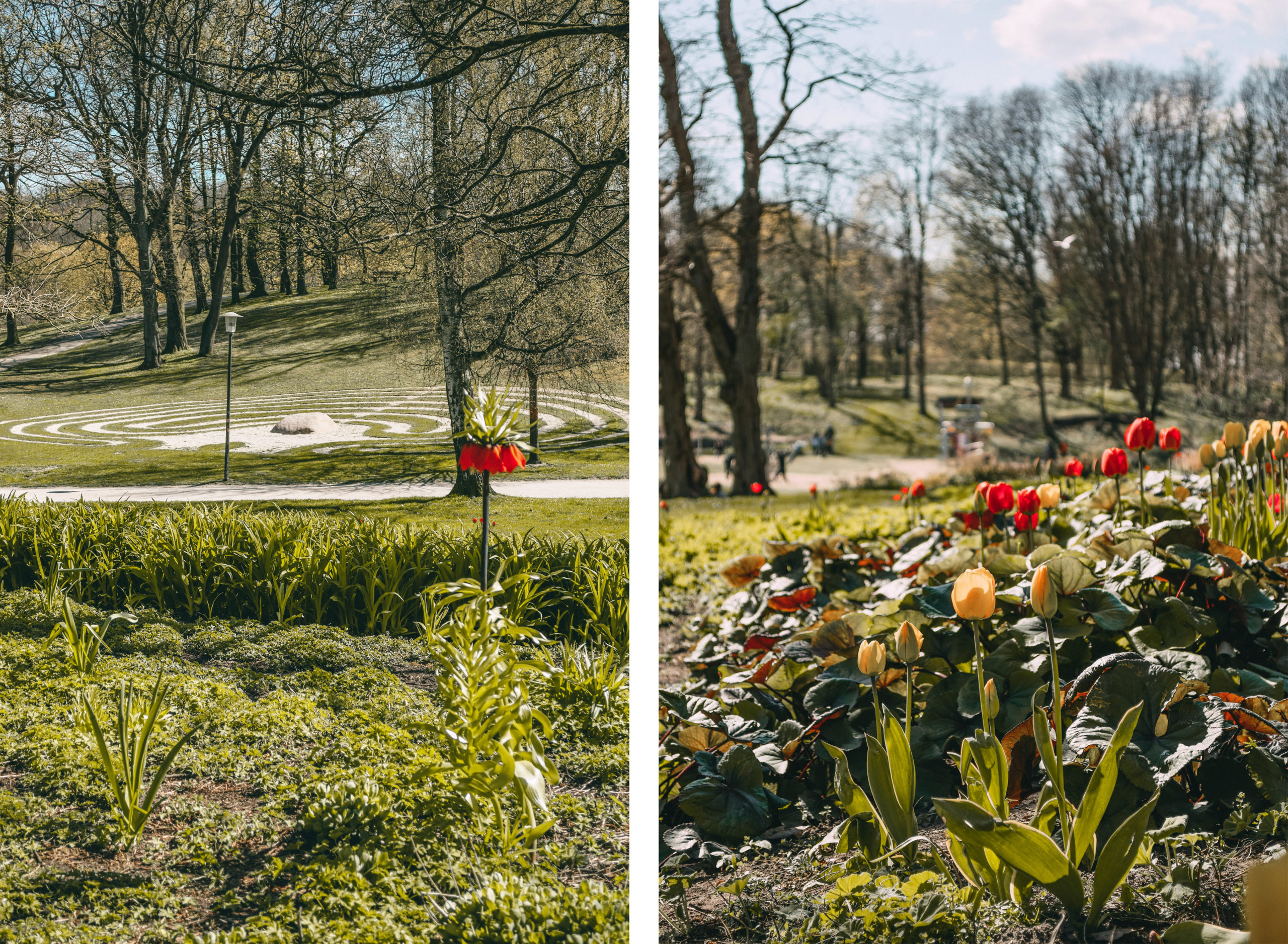 Volkspark Blumen