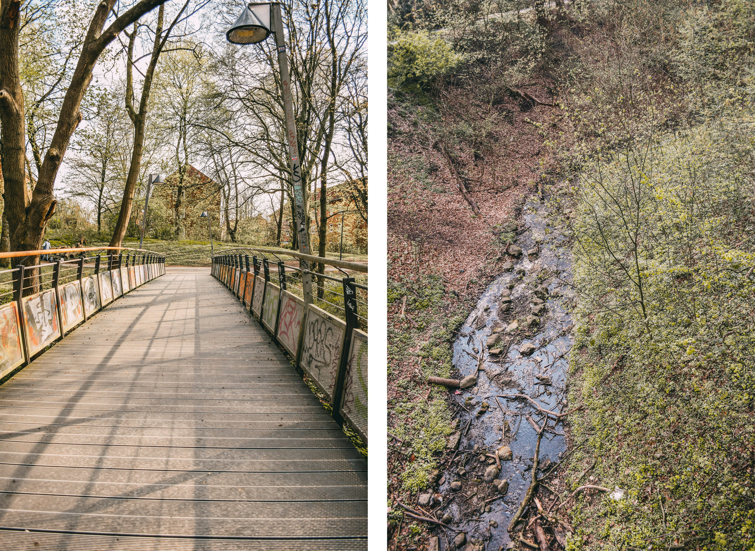 Brrok Wald Brücke