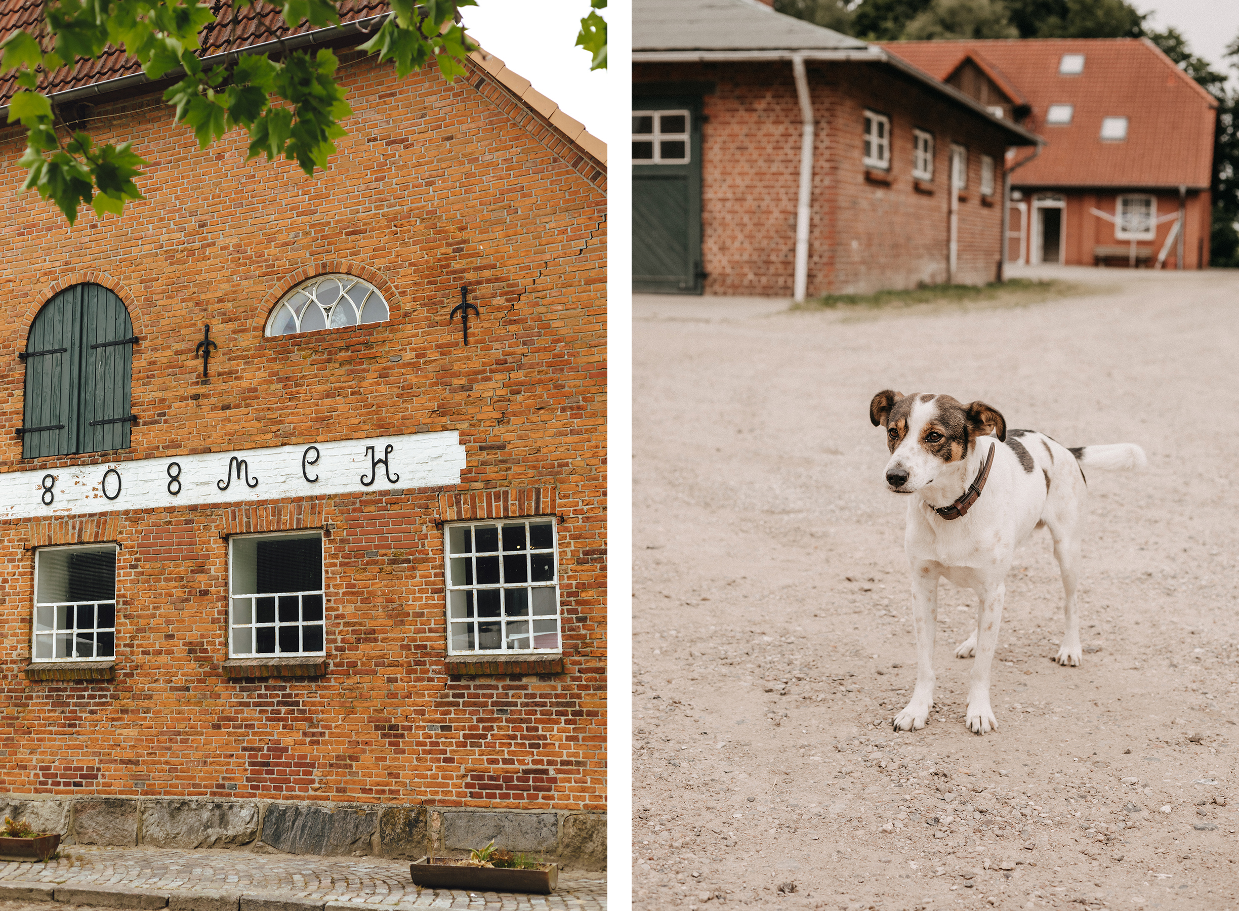 Erdbeer- und Himbeerhof Gut Steinwehr