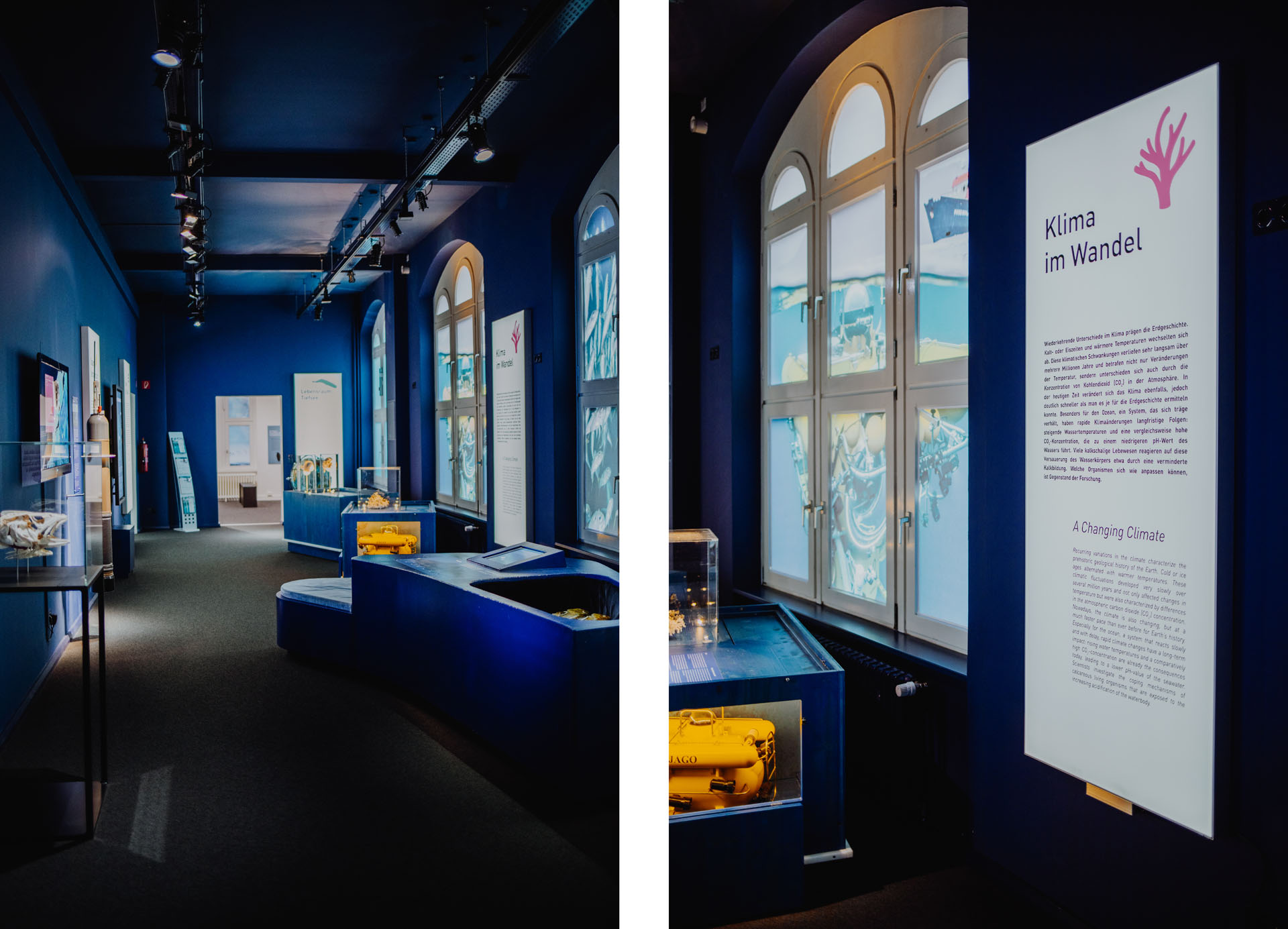 Die nachhaltige Ausstellung „Ozean der Zukunft“ im Zoologischen Museum Kiel