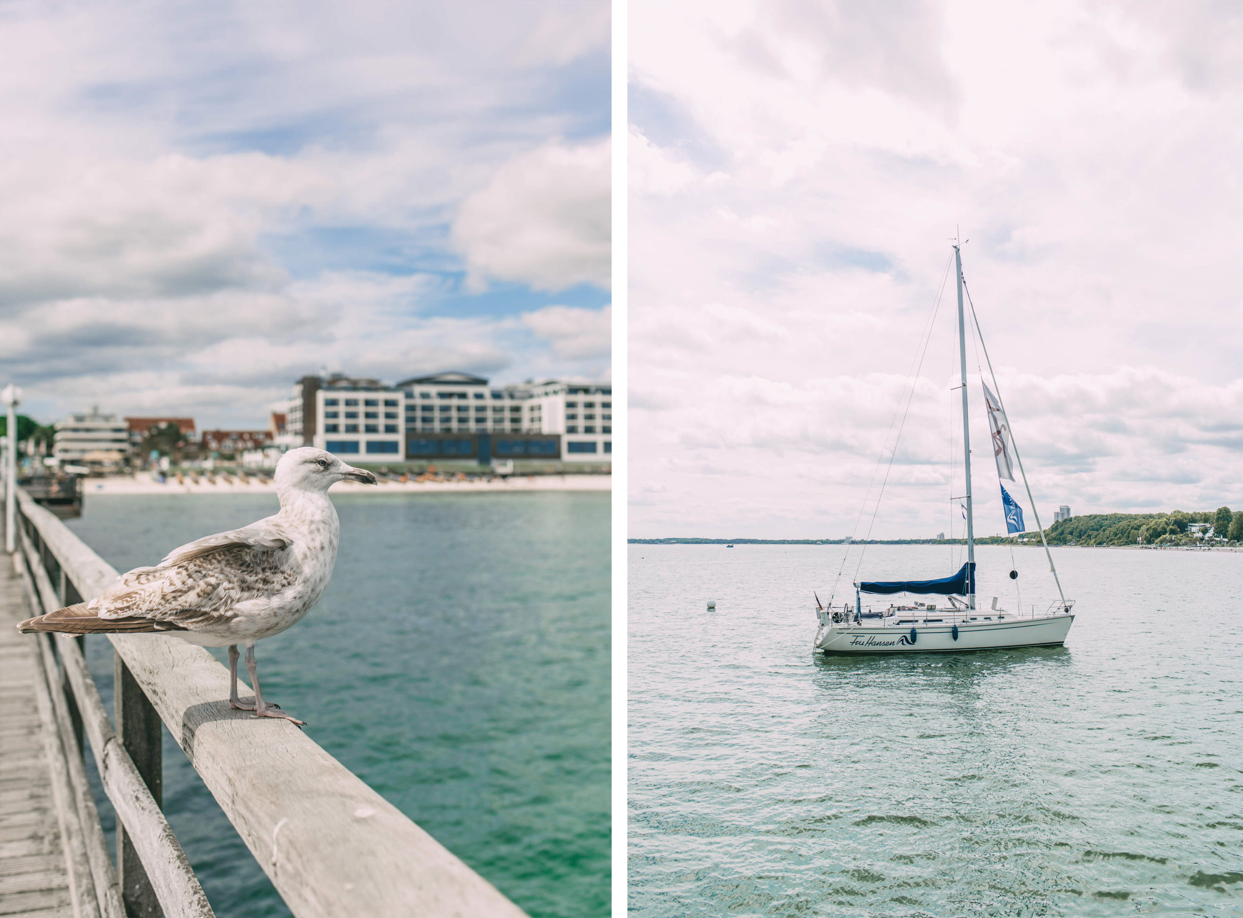 Möwe und Segelschiff Scharbeutz