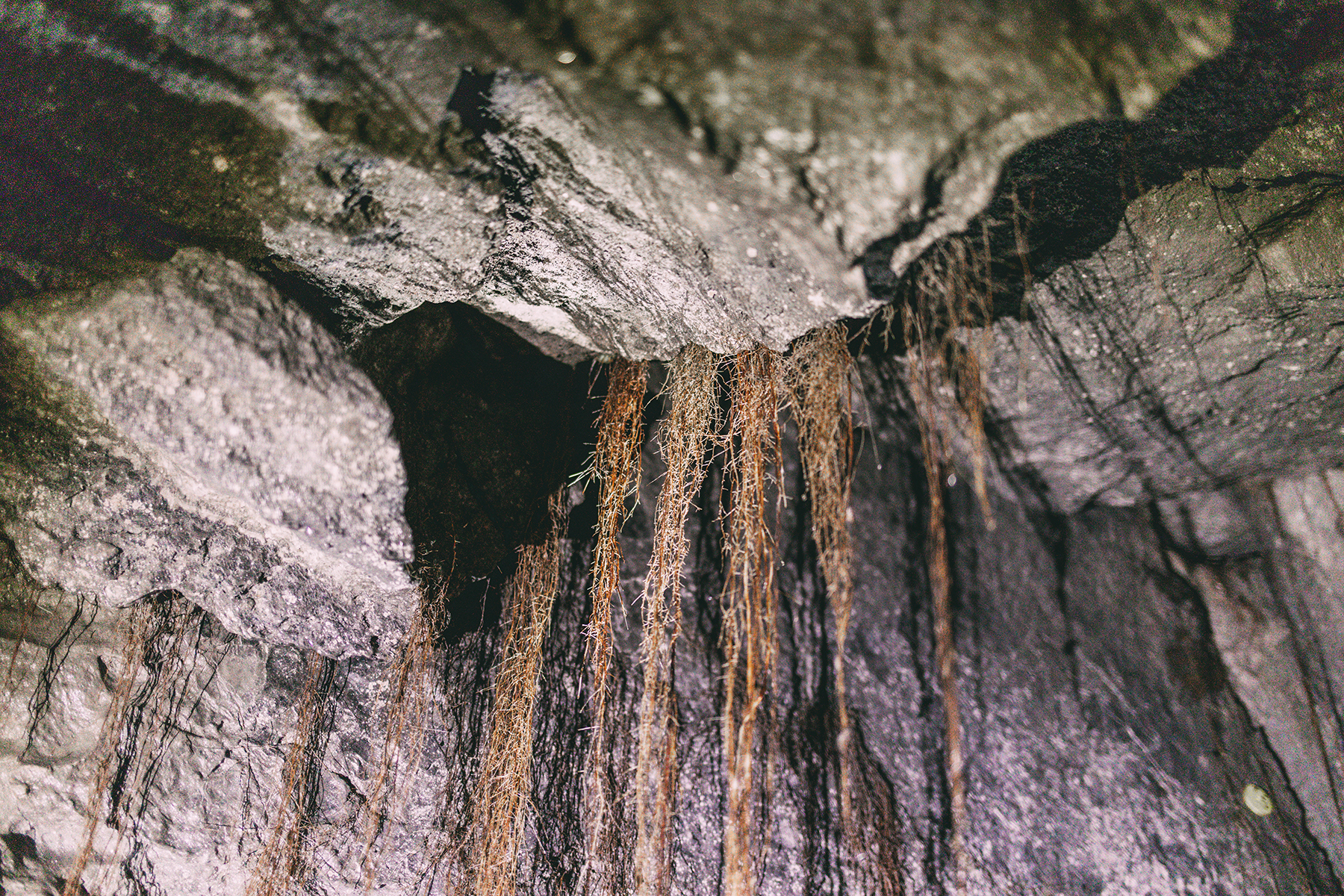 Höhlenführung Bad Segeberg