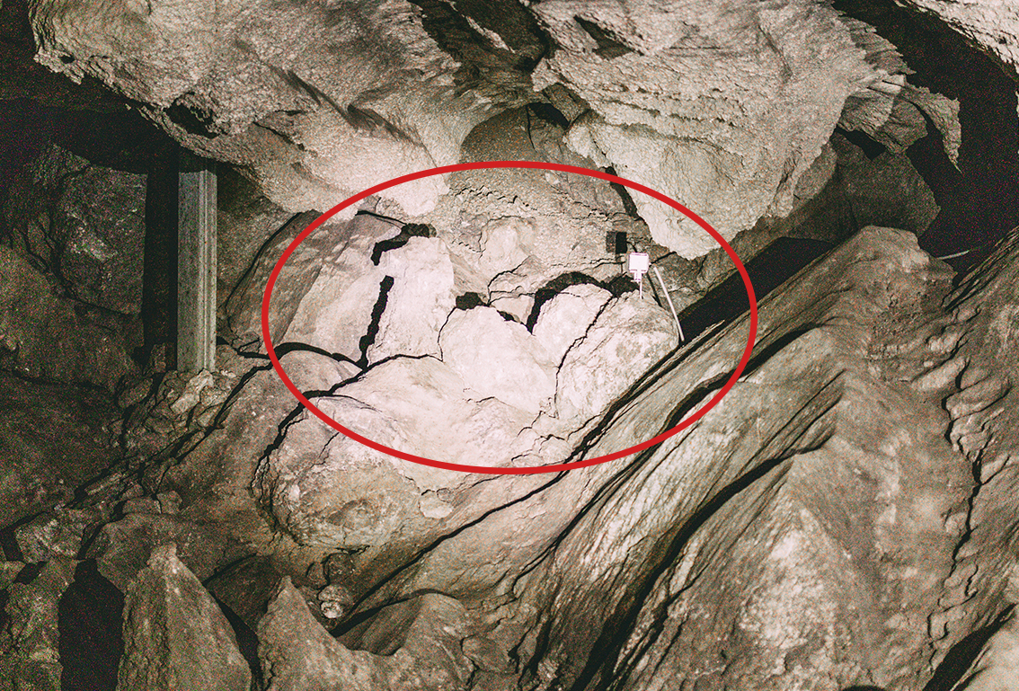 Dreihöckeriges Kamel Kalkberghöhle