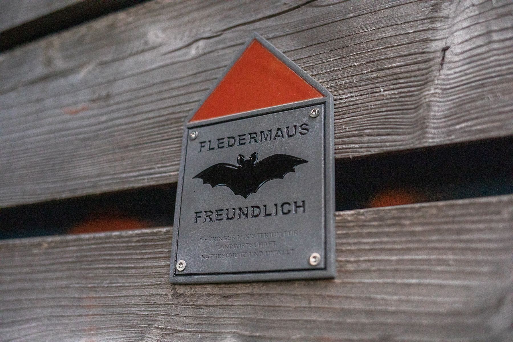 Schild Fledermaus Freundlich