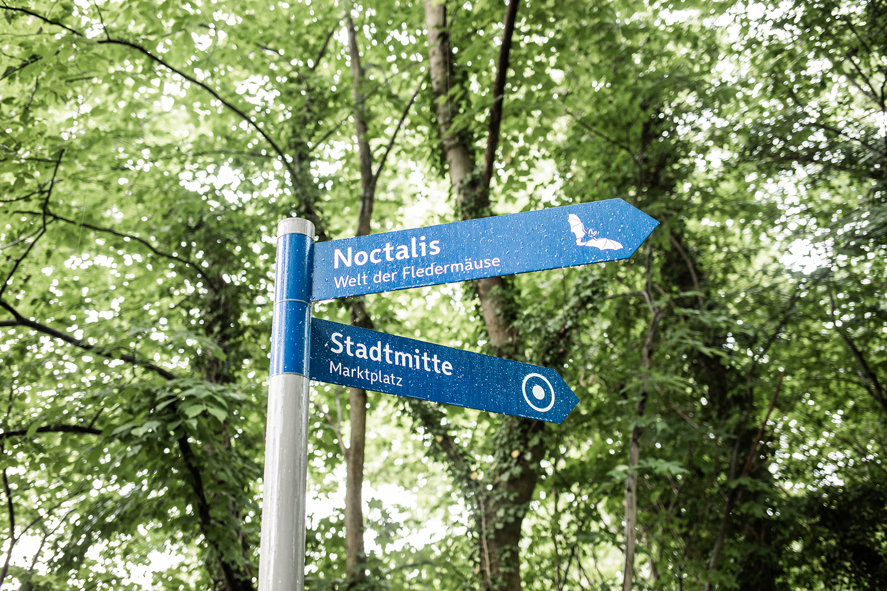 Noctalis Bad Segeberg: Schild