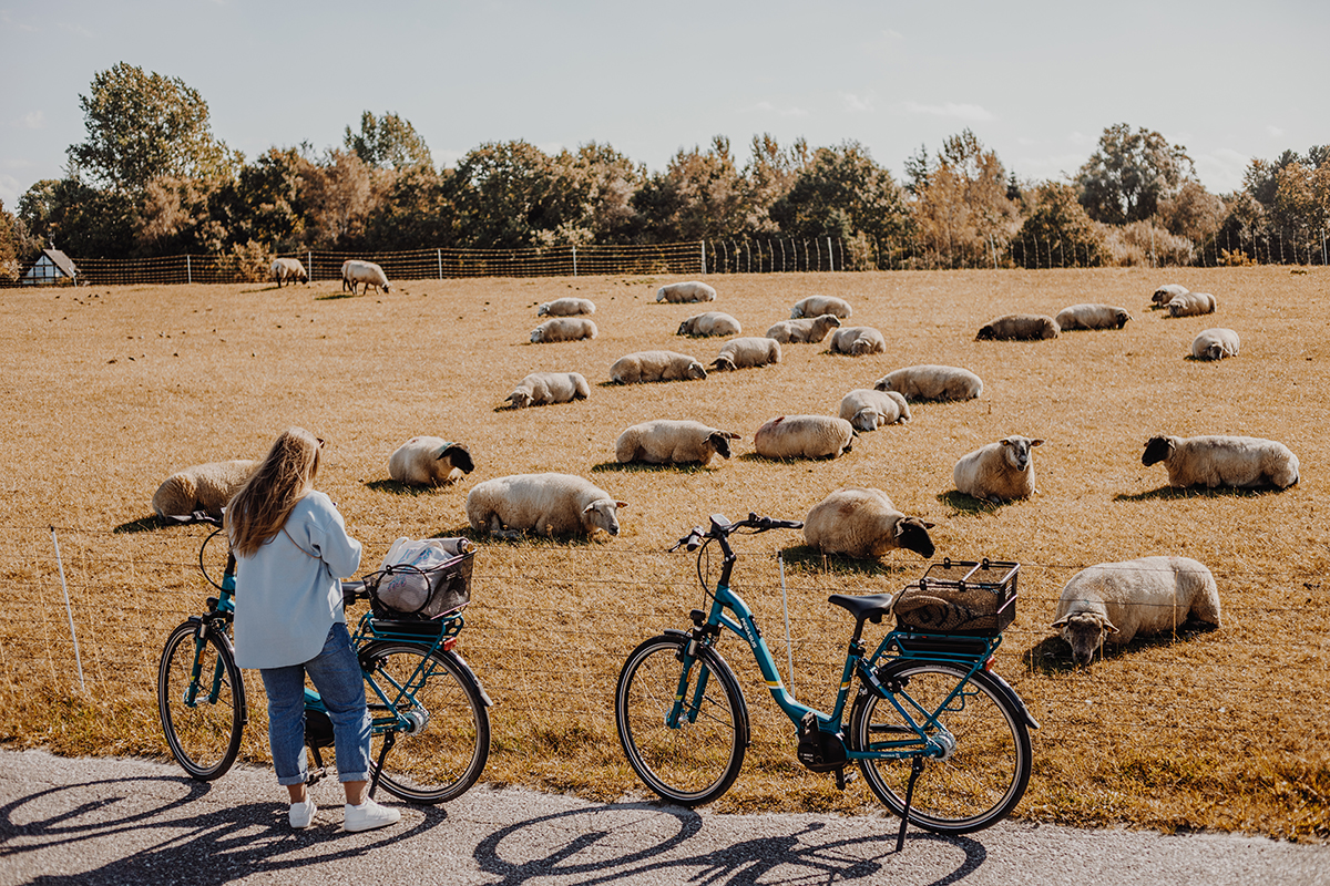 Auf dem Ostseeküsten-Radweg von Laboe nach Hohwacht