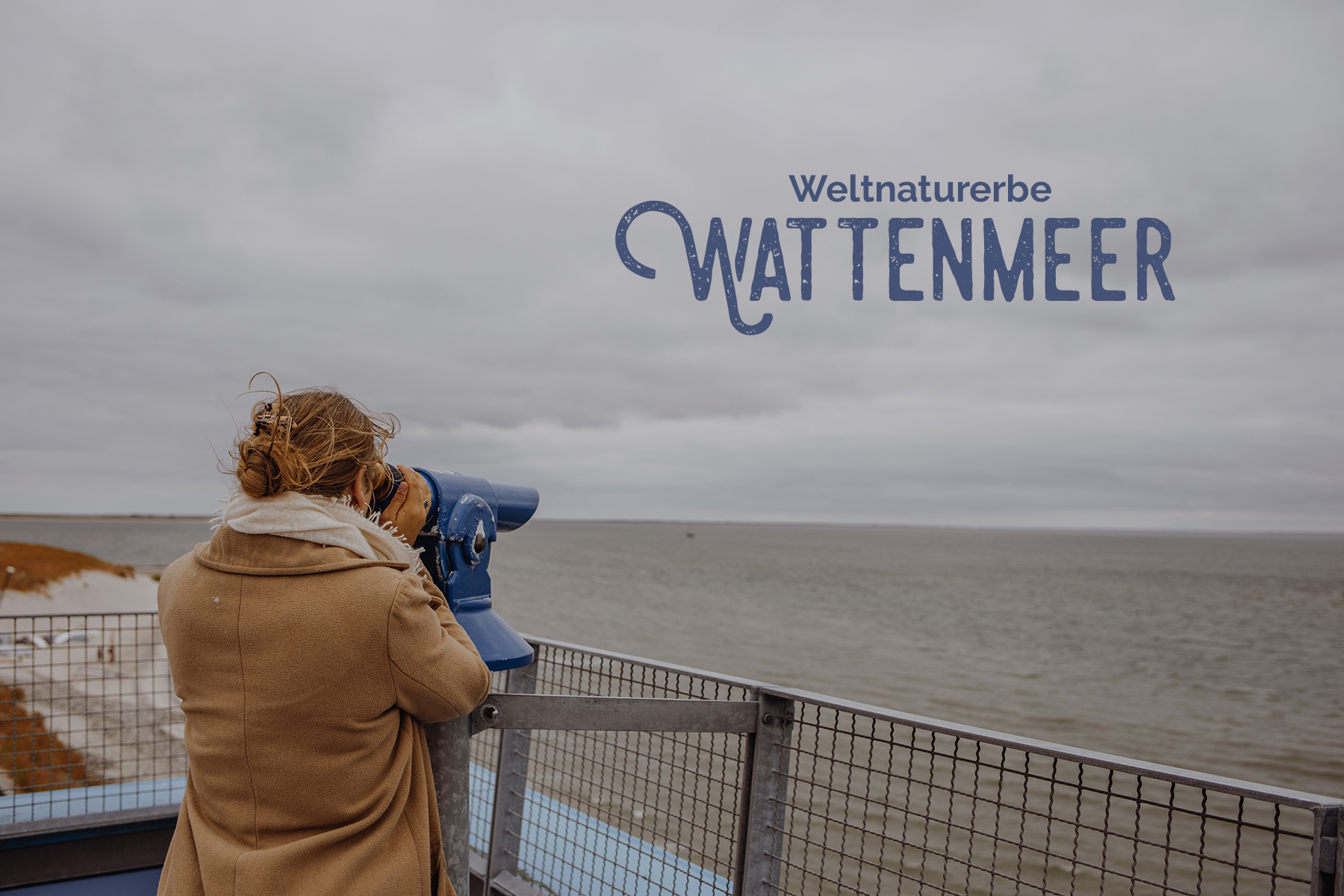 Blick auf Wattenmeer Erlebniszentrum Naturgewalten