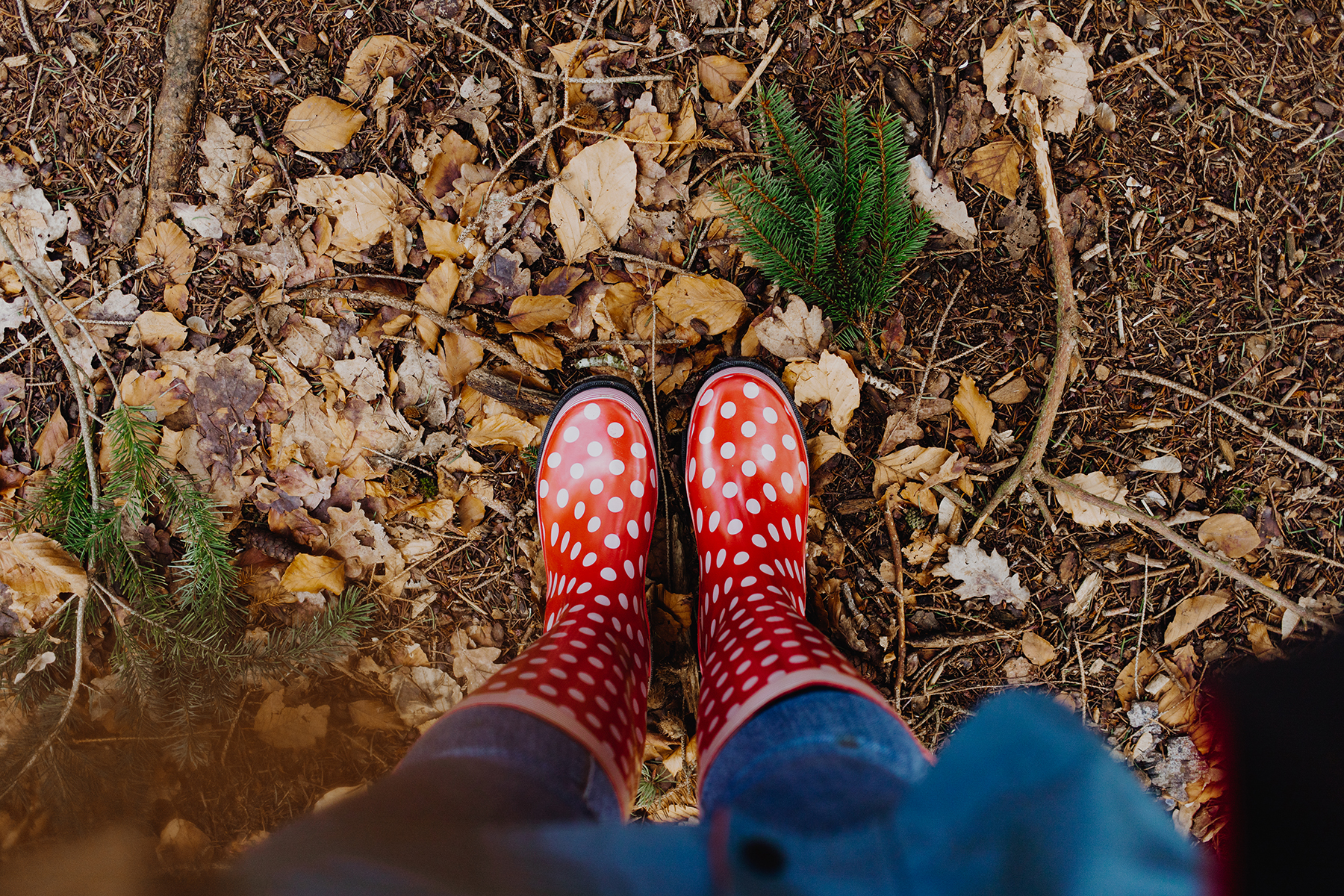 Gummistiefel im Wald