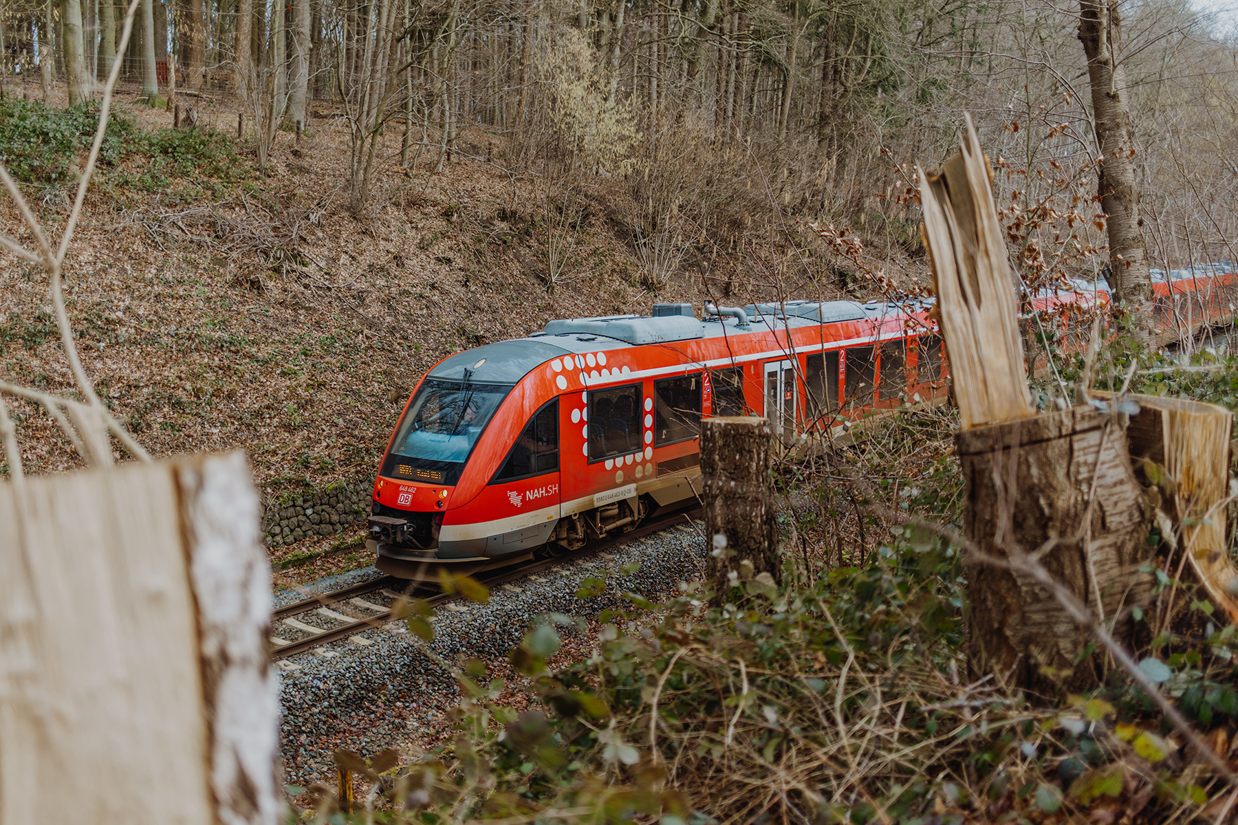 Zug der DB Regio SH auf Bahngleis