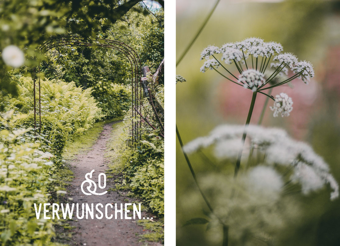 Bäume und Blumen in der alten Schlossgärtnerei in Plön