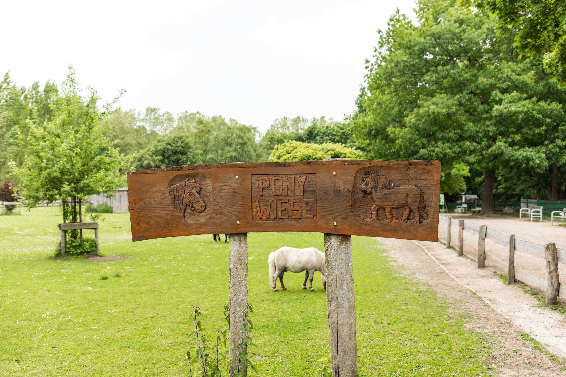 Wildpark Schwentinental: Ponywiese