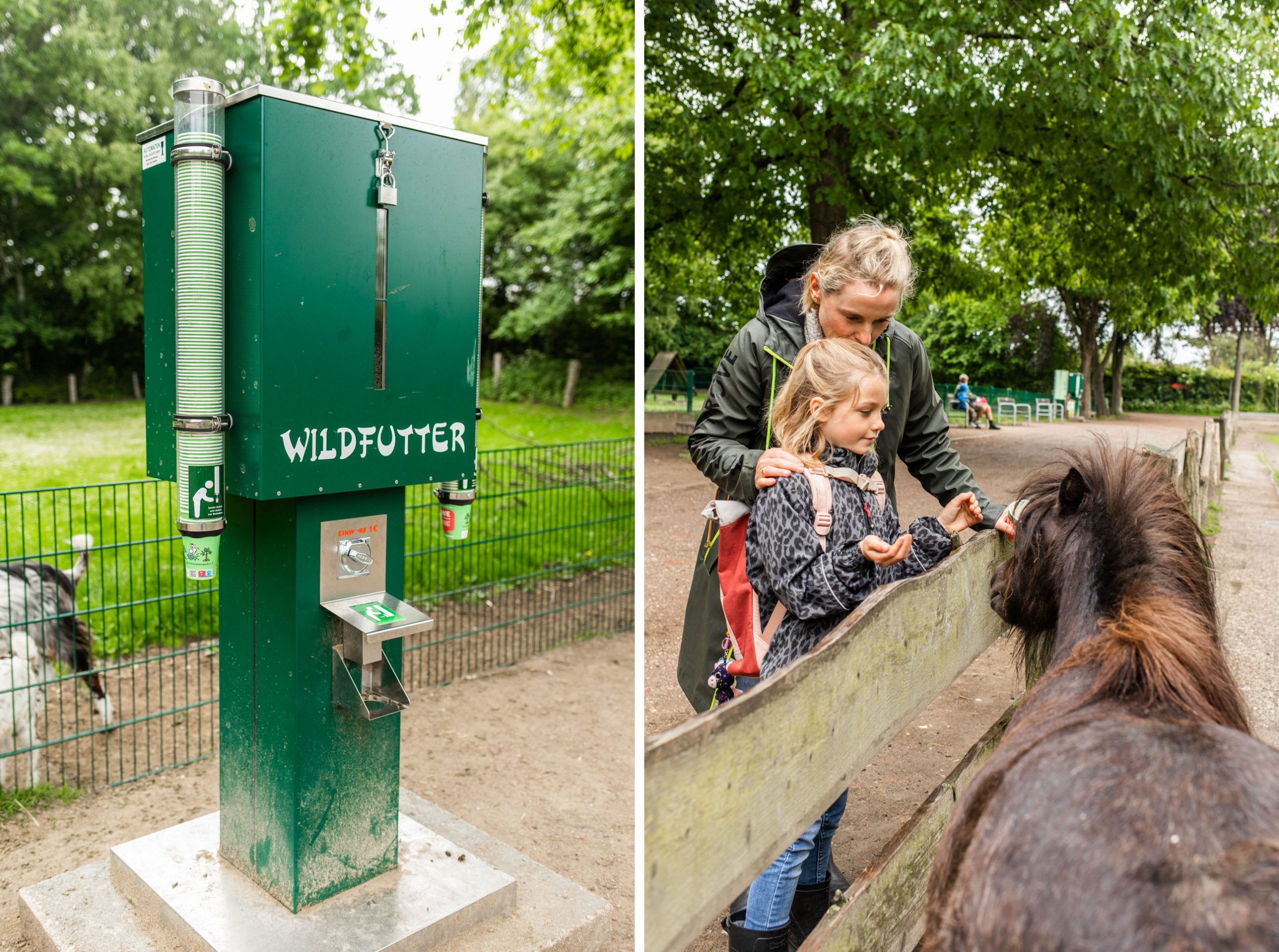 Futterautomat