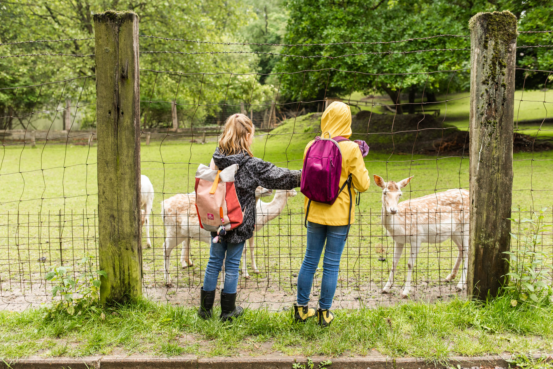 Helena und Jette vor Wildtiergehege