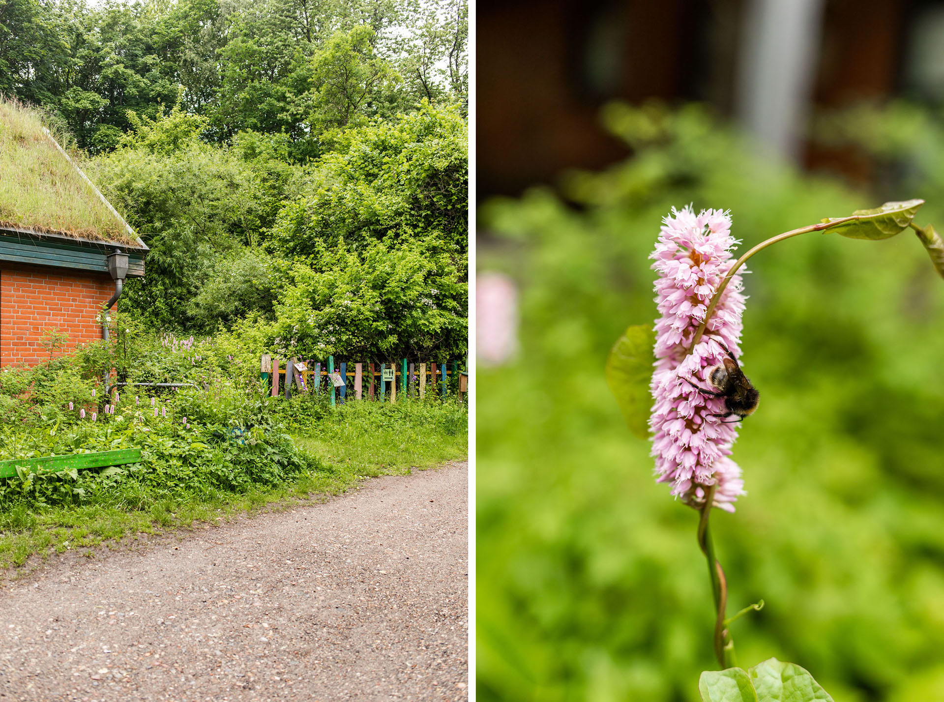 Bunter Garten im Wildpark Schwentinental