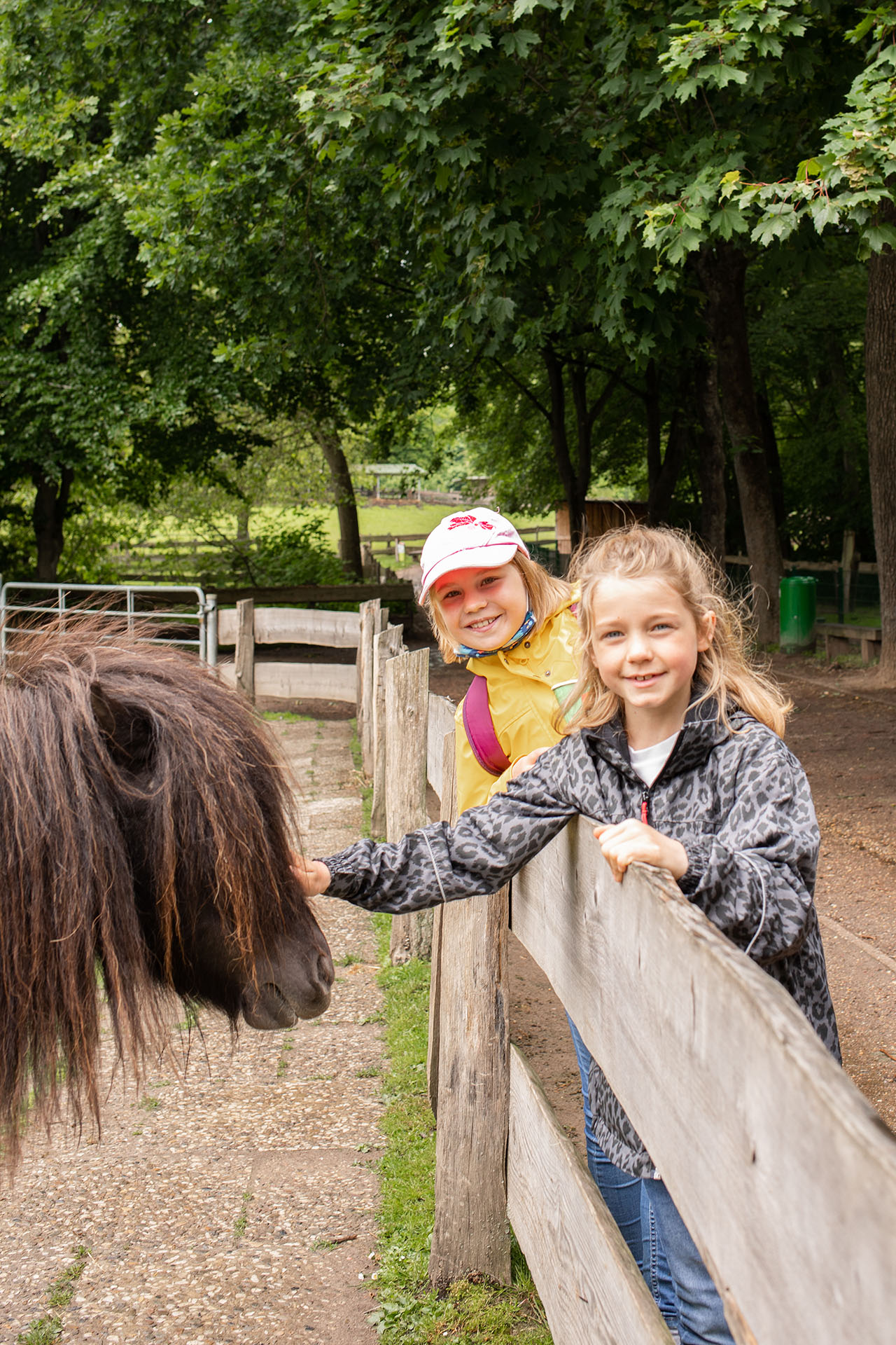 Jette und Helena streicheln ein Pony