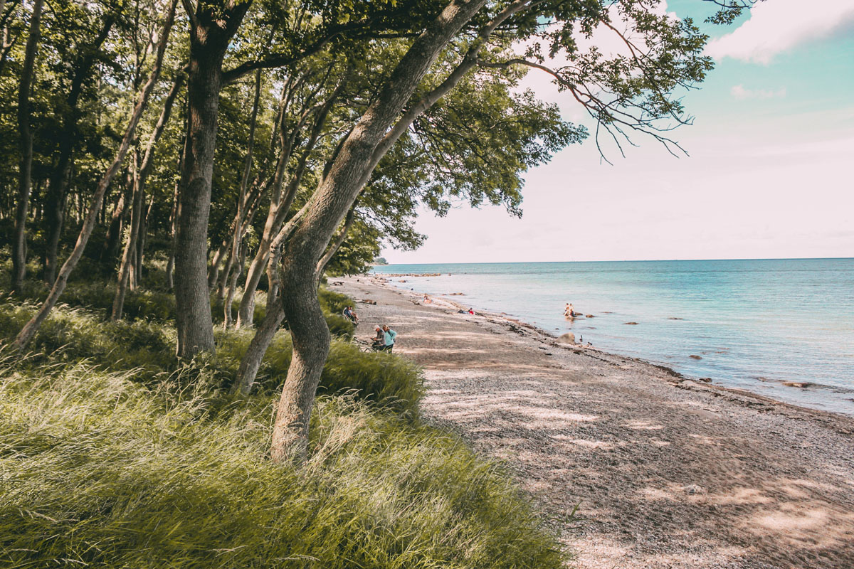 Gräser, Bäume, Strand und das Meer