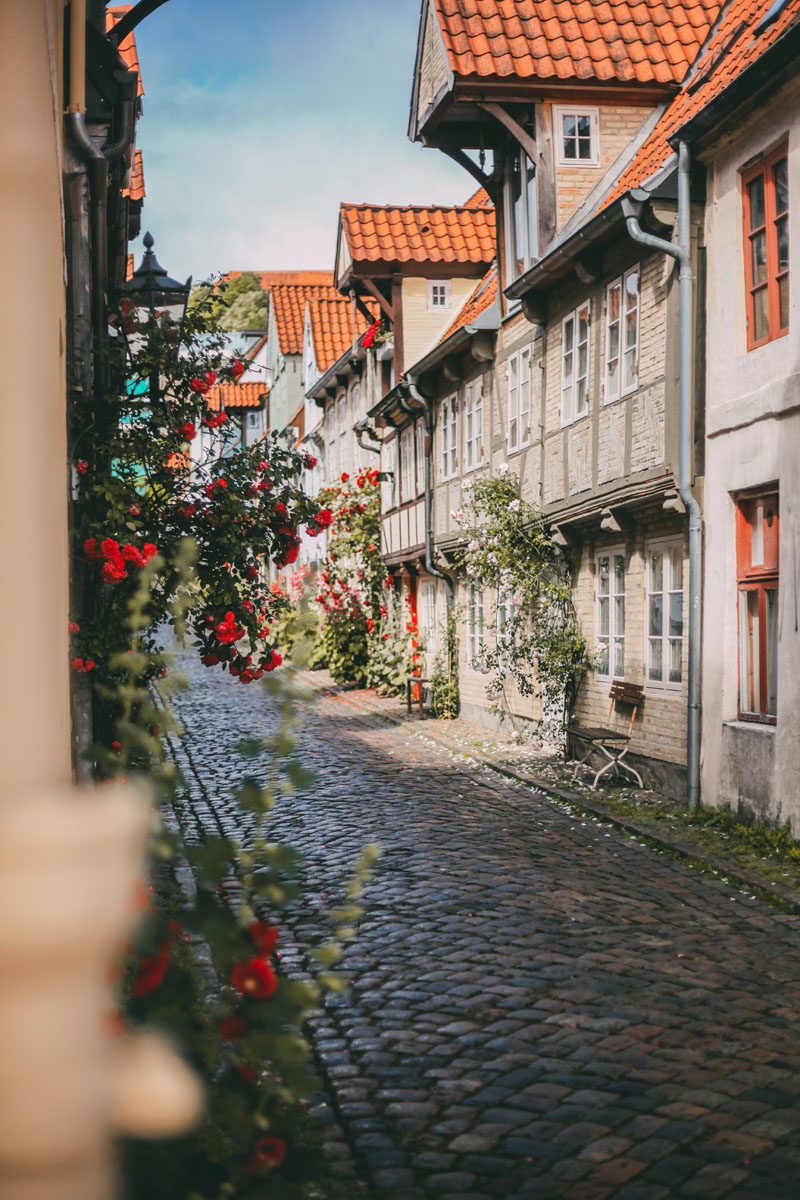 Der Oluf-Samson-Gang in Flensburg mit Fischerhäuschen und Rosen