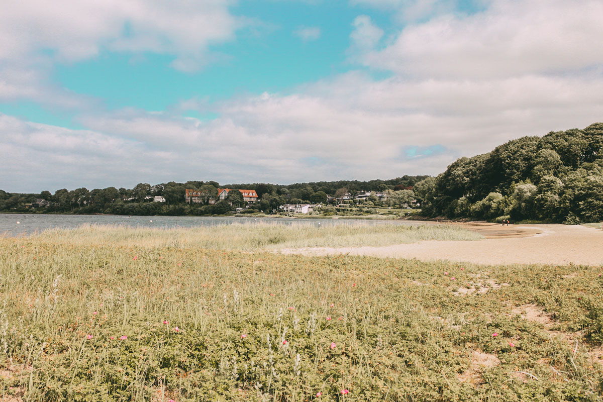 Gräser. Bäume, Sand und das Meer am Strand Solitüde in Flensburg