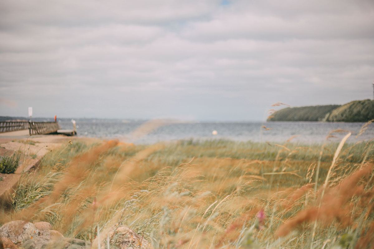 Gräser und das Meer am Strand Solitüde in Flensburg