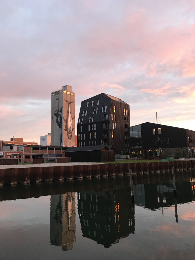 Hafen von Odense als Tipp für einen Auslfu in die Stadt
