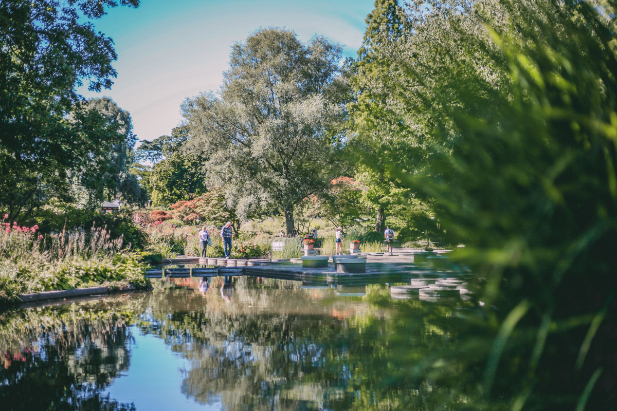 Ein Teich und Bäume