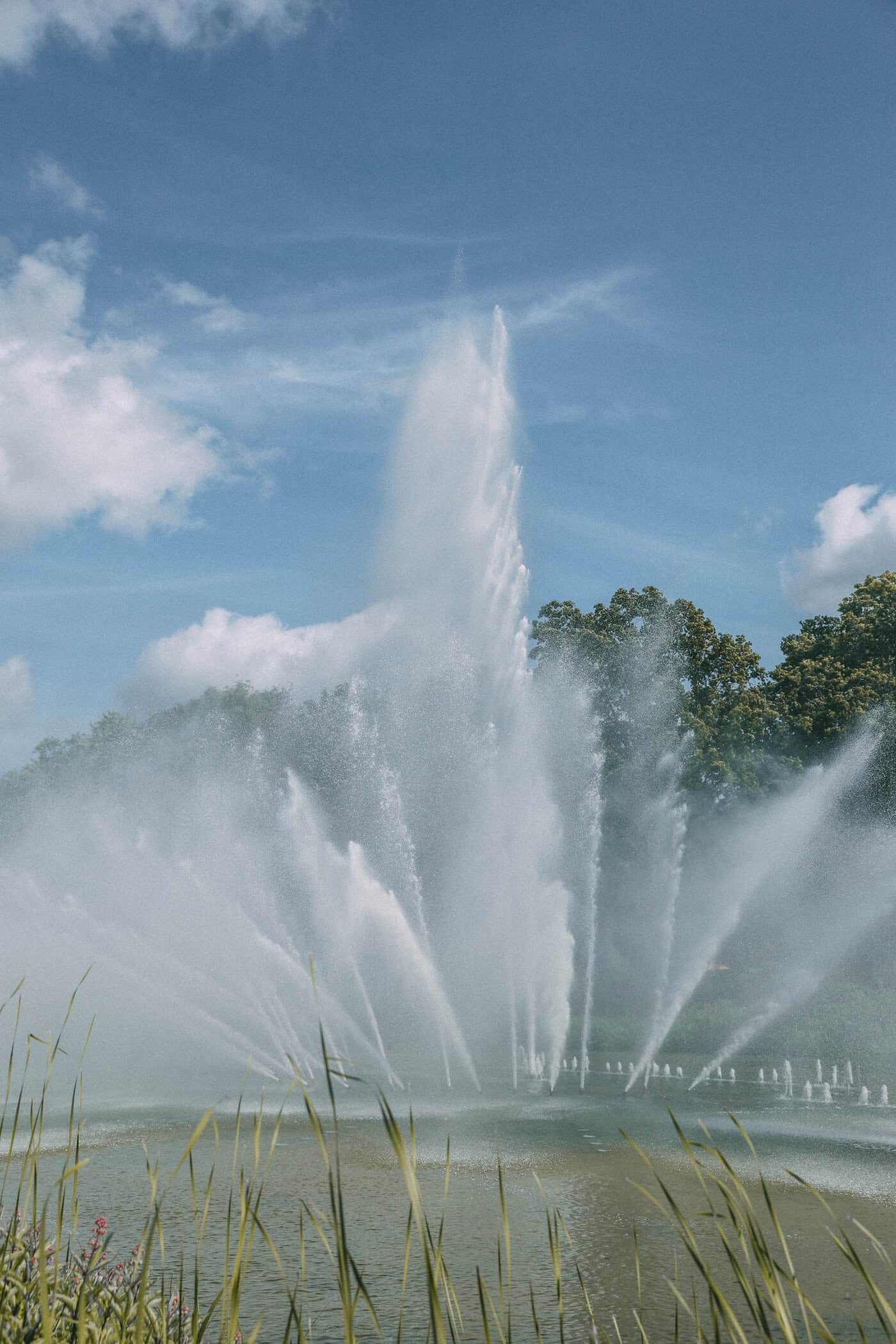 Wassershow Planten un Blomen