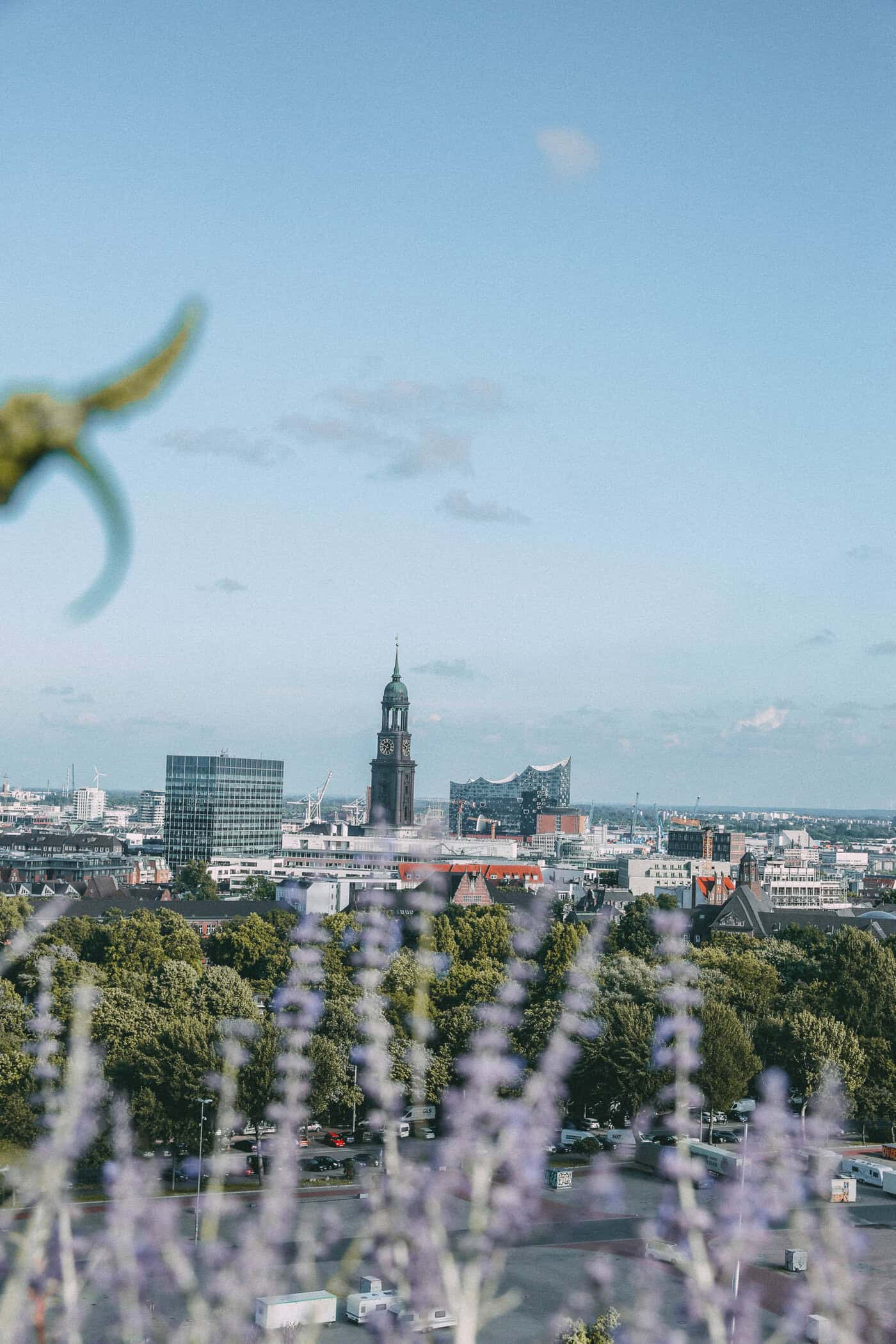 Die Aussicht vom Grünen Bunker