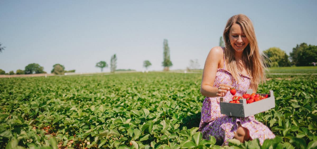 Finja im Feld beim Erdbeeren pflücken