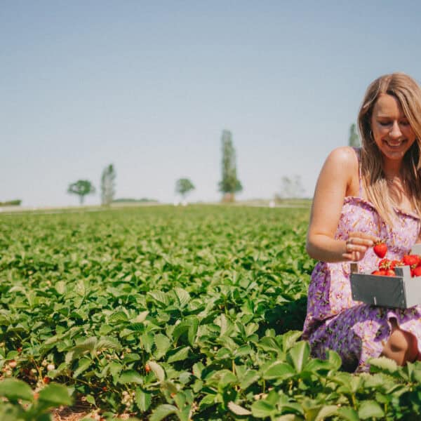 Finja im Feld beim Erdbeeren pflücken