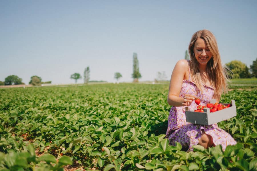 Finja im Feld beim Erdbeeren pflücken