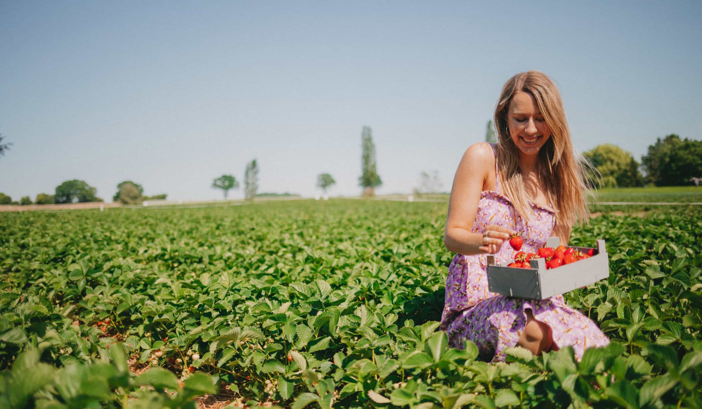 Finja im Feld beim Erdbeeren pflücken