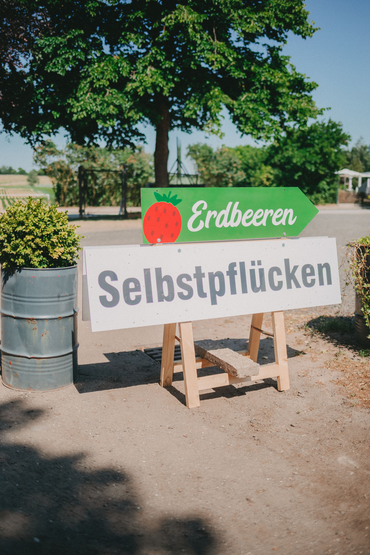 Schild mit der Aufschrift „Erdbeeren pflücken“ beim Ausflug ins Herzogtum Lauenburg